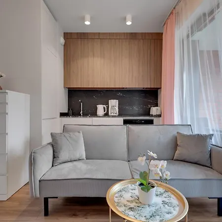 Scala 60C City Center Apartments & Studio By Lion Apartments Gdansk Exterior photo